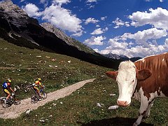 TransAlp Challenge, Scharnitz, Austria
